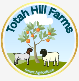 Totah Hill Investments, LLC.